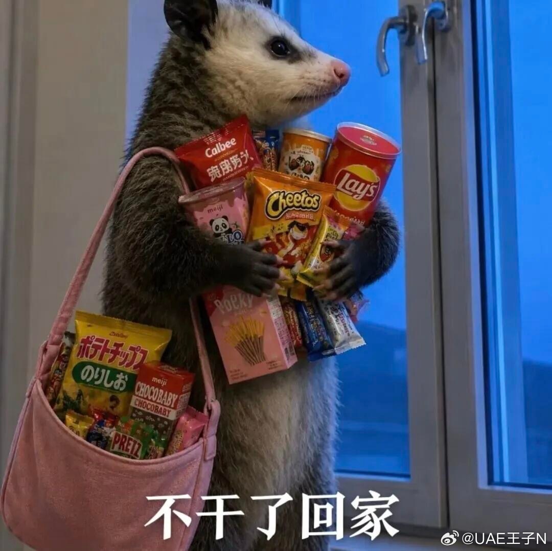 我不干了我要回家🐿️我媳妇在家呐