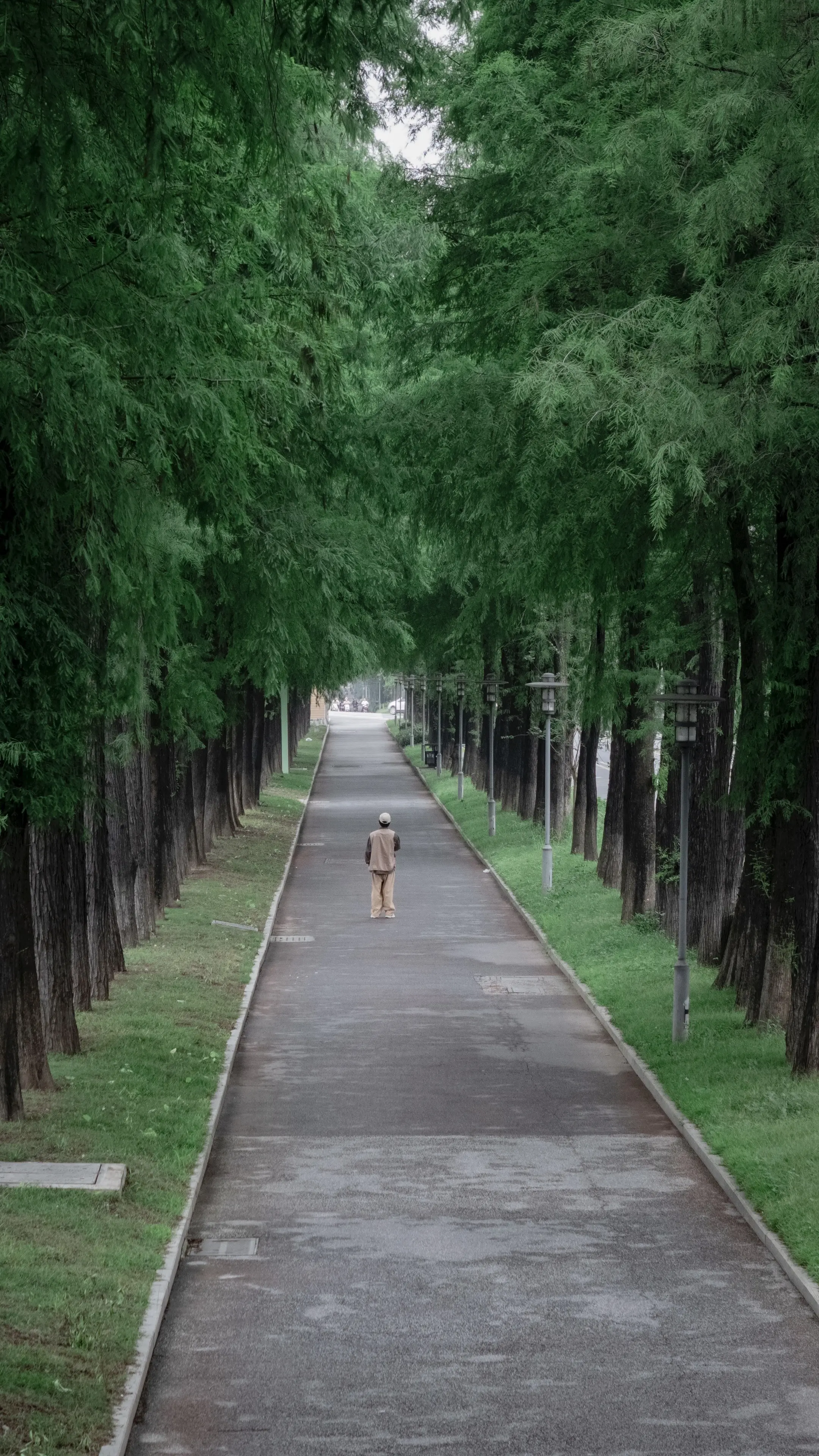 佛山现实版绿野仙踪。位置📍：顺德区羊大路