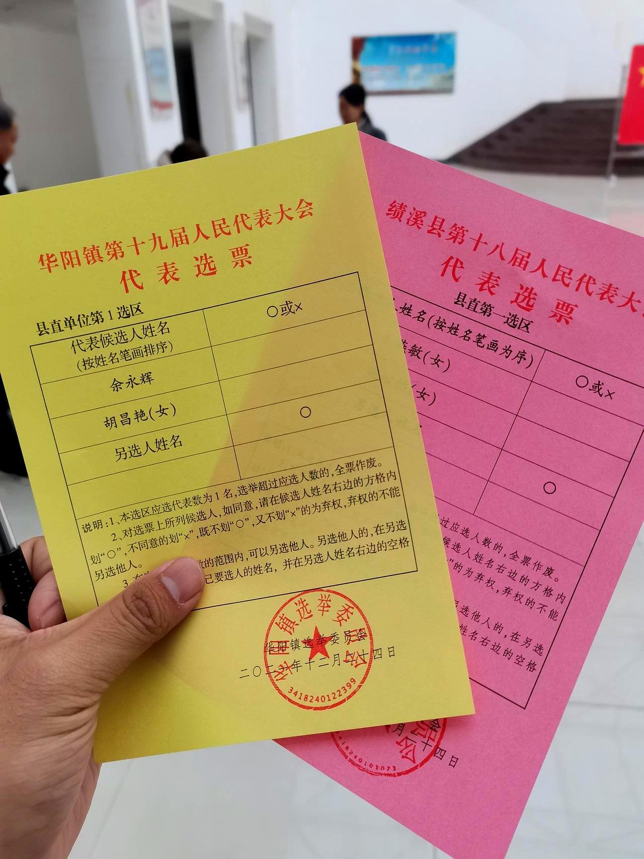 门铃响得突兀，开门见着两个志愿者，手里攥着选票，神情严肃得像是在分发免死金牌。