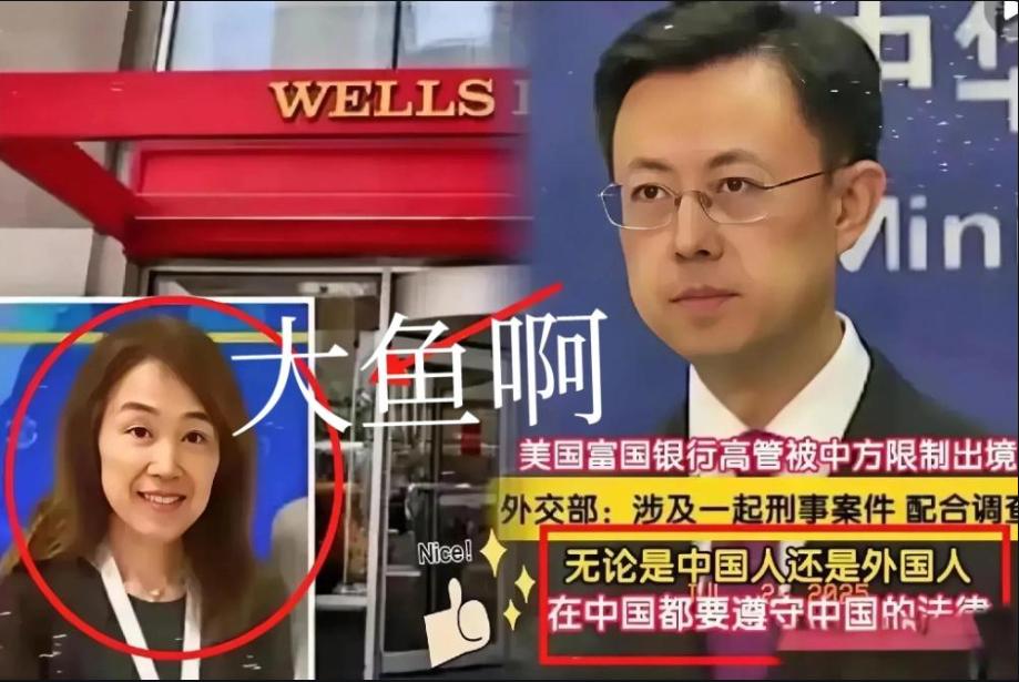 原来，茅晨月是一条“大鱼”啊！ 这个上海出生、美国籍的银行高管，表面上是帮中
