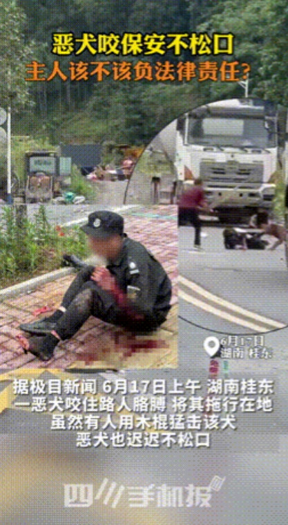 “爱狗人士怎么说！”湖南，一保安倒垃圾时，不料一发狂比特犬忽然冲来，将保安咬的血