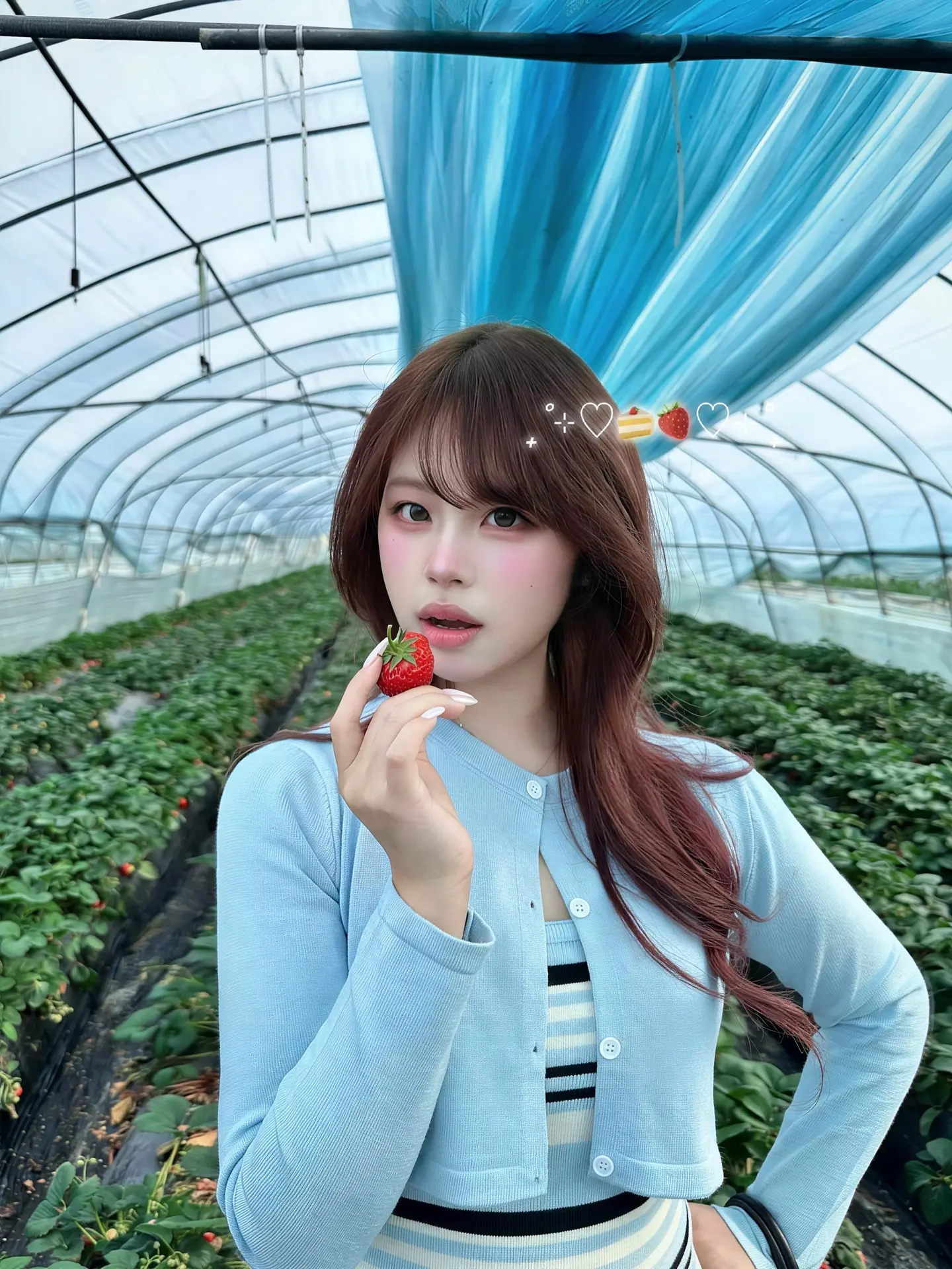 今天是草莓味🍓～
