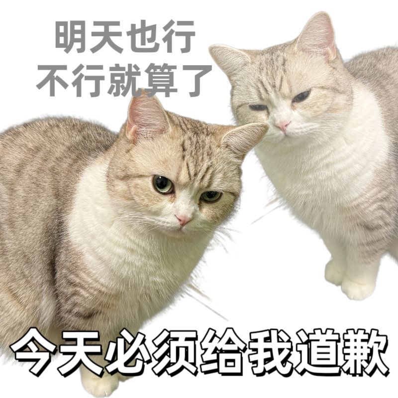 老天爷这到底在踢什么啊[哭哭]为什么这个点我不睡觉啊啊啊啊啊啊啊​​​