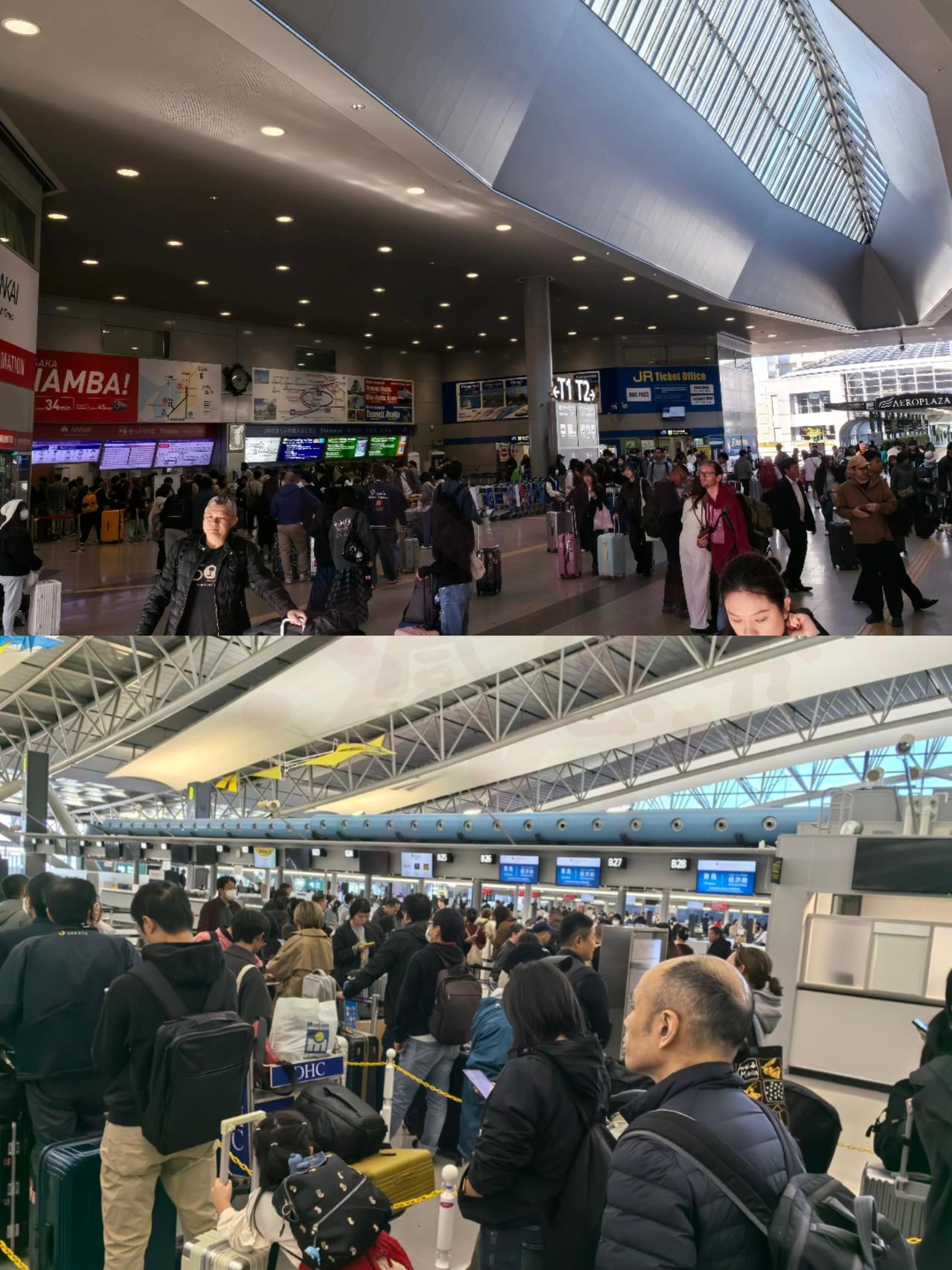 这下好了，之前非要去日本的那批人，现在想回来就难上加难了，你瞧日本关西机场，