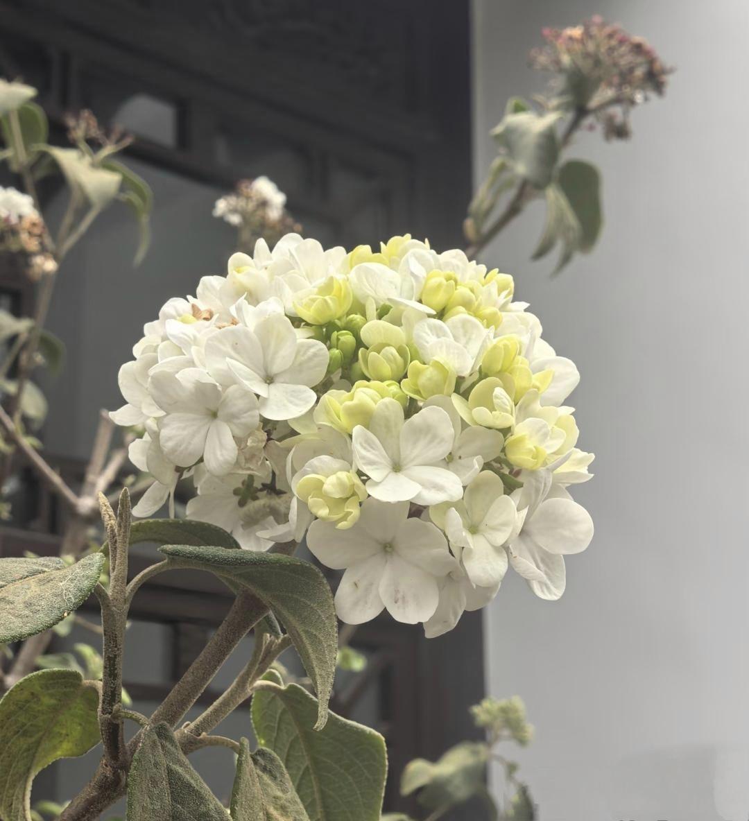 有位懂风水的长辈，一辈子走南闯北，看过无数的宅院。他说，最有灵气的风水，从来不在