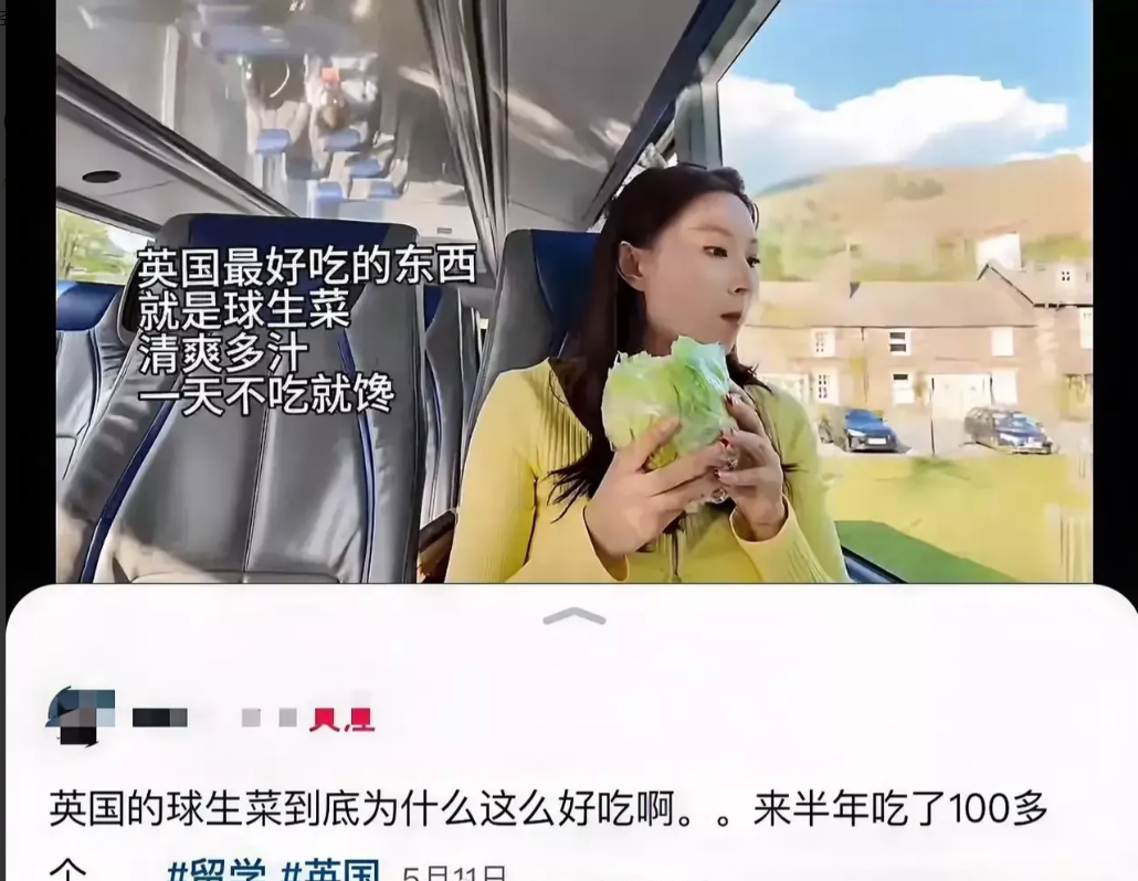 国内遍地都是，也没见你天天抱个生菜球吃，到了国外成香饽饽了