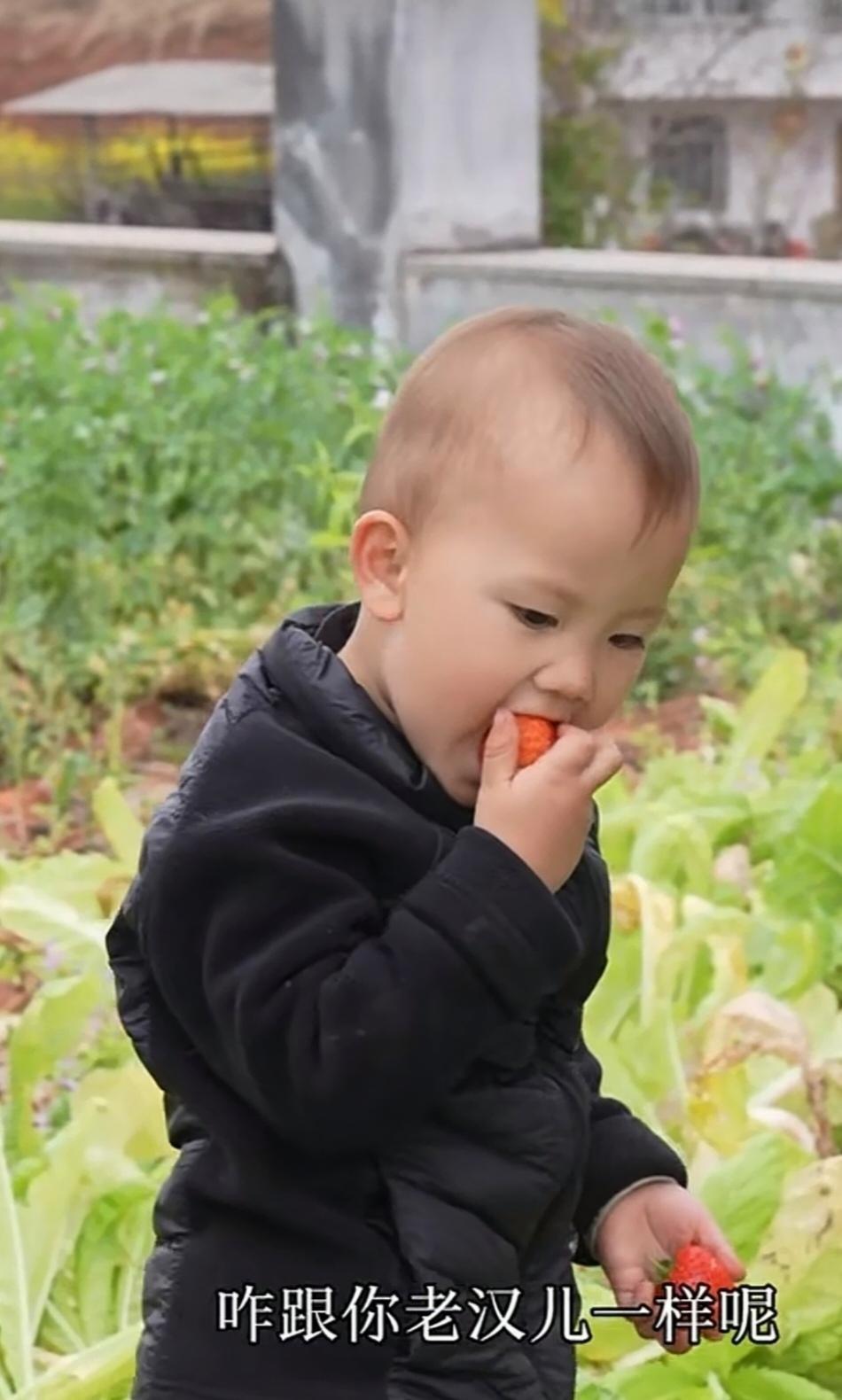 小妹儿的举动我看不懂了。小二娃本来给了小妹儿探视权十天。就是让小成成一个月可以