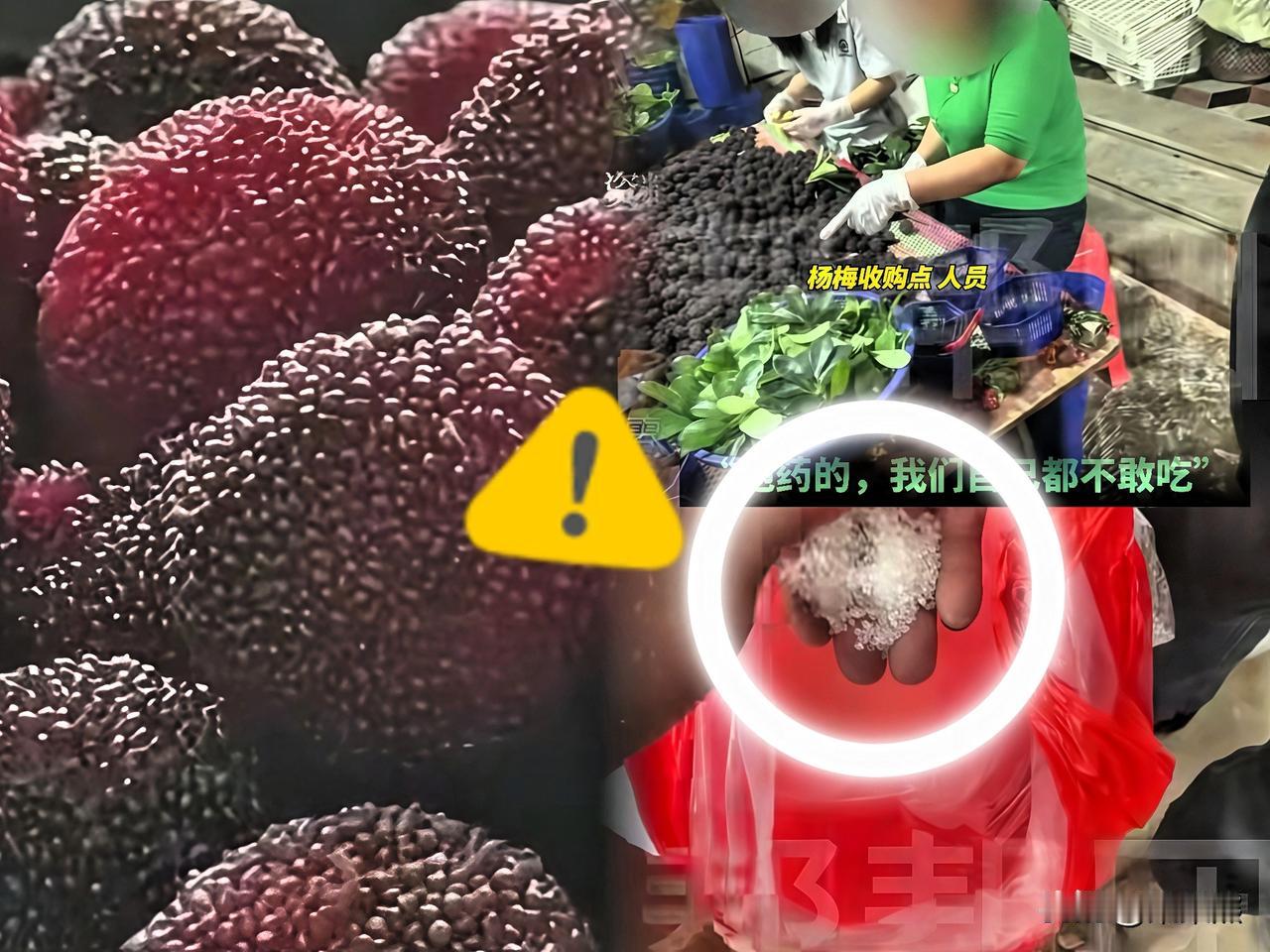 天塌了，杨梅被骂惨了，但请别冤枉果农！刷到漳州浮宫杨梅被原箱扔进垃圾桶，