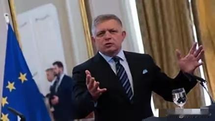 菲科：美国攻击行动证明二战后“世界秩序”已瓦解。今日俄罗斯消息，斯洛伐克总理罗