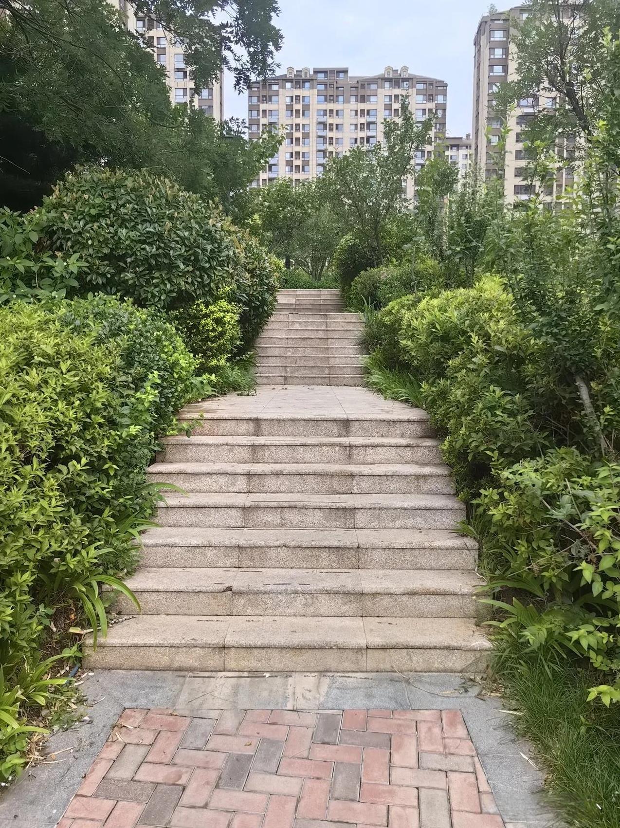 大雨瓢泼，住在镇养老院的三十多个老人没了。很多人又说养老还是靠子女，如果住在家