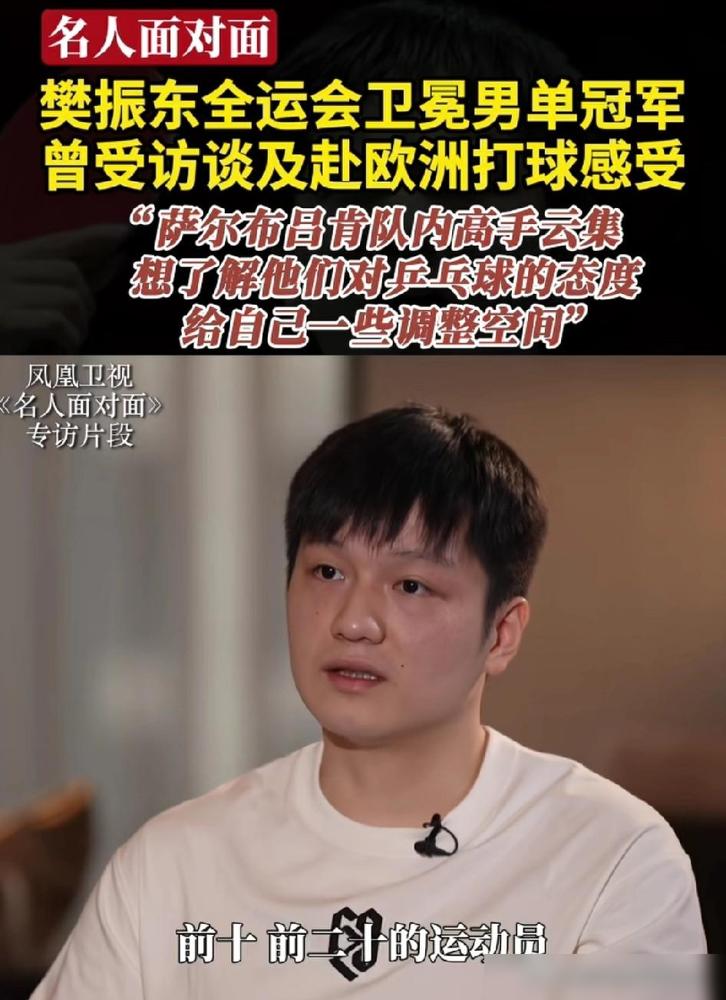 德甲也欺负樊振东，对手俱乐部内也有在国际排名前十或者前二十的球员，但是他们几乎都