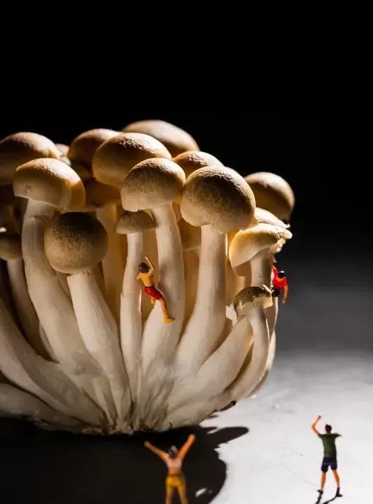 在单位，为什么领导喜欢重用小人:1，能充当领导耳目2，对领导言听计从3，擅