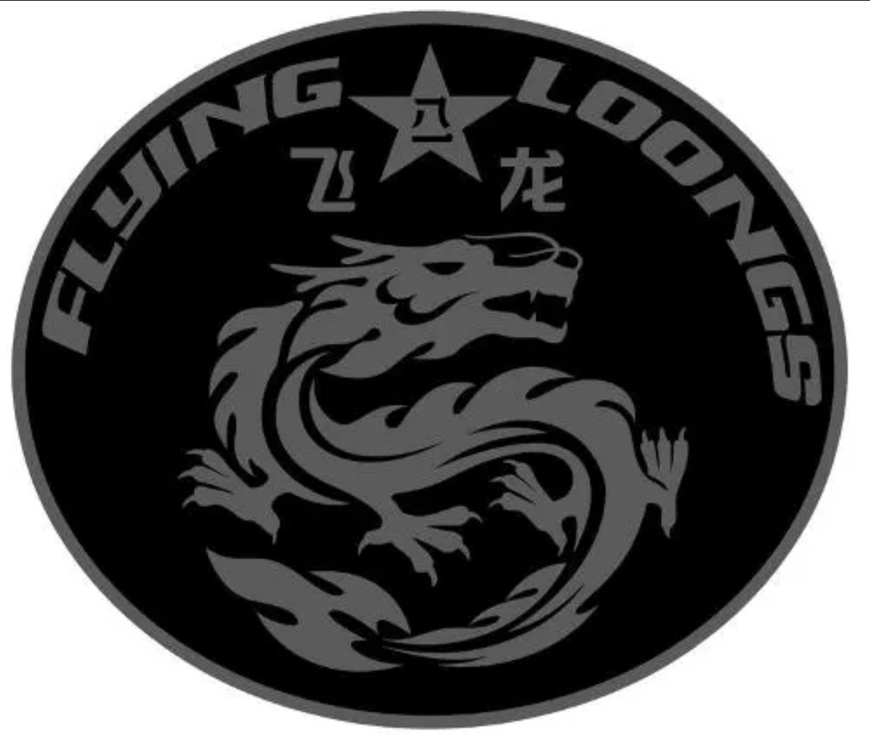 “东海飞龙”一直往前捋，是南京军区精锐侦察分队。1992年，南京军区特种大队。2