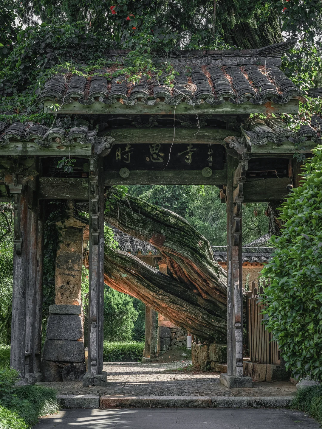 当我以为国内景区审美快要完蛋的时候.....