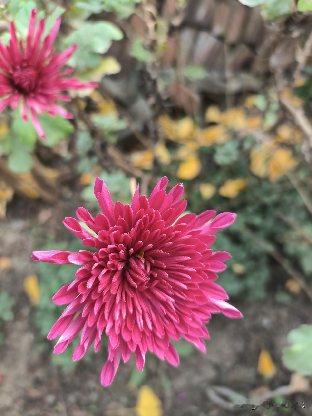 我要告诉你一个事实，不管你是否承认，它千真万确：人生最大的敌人并非他人，也不是环