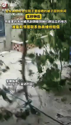 “太危险了！”安徽，一母女俩刚把洗好的被子晒出来，随后返回到了屋内，没成想仅仅几