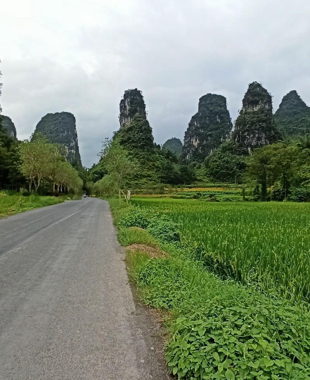 很多人把通阳想地复杂化，有些人竟然想通过药物，故弄玄虚。你在春夏