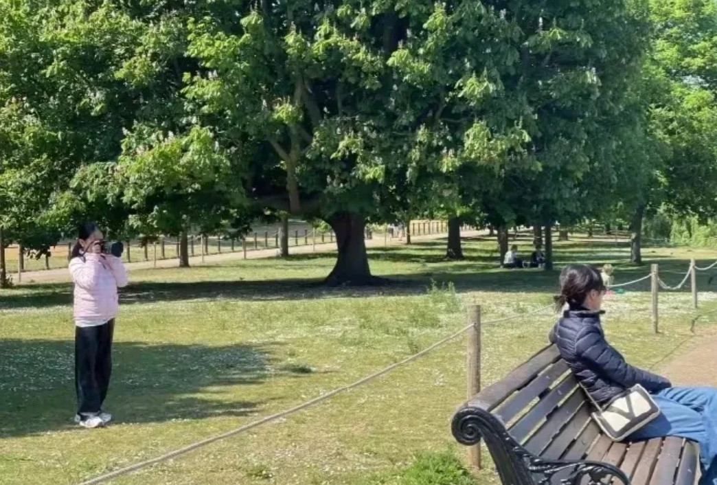 孙俪晒出小花给她拍的照片孙俪坐在公园长椅上小花在她的身后举着相机，有一个细节