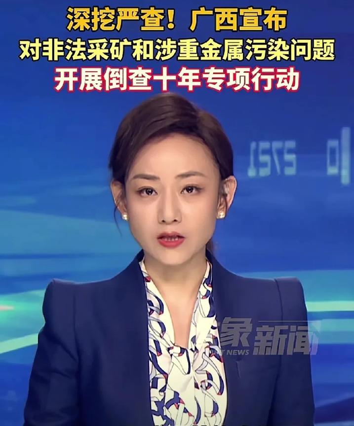 倒查10年！广西宣布重磅消息：对非法采矿和涉重金属污染问题，开展倒查10年专项