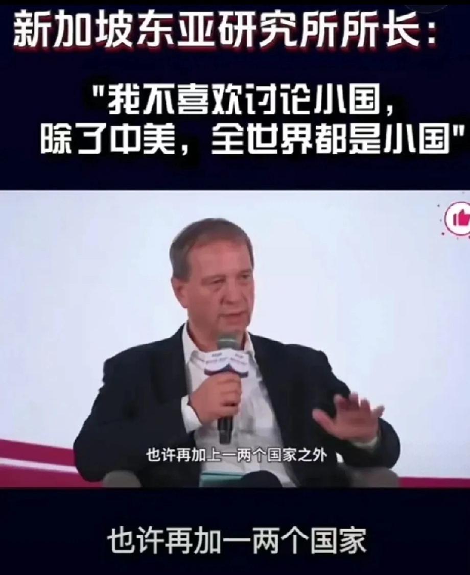 要论整治新加坡人,还得美国人来!美国教授到新加坡参加论坛,现场直言,除了中美之外