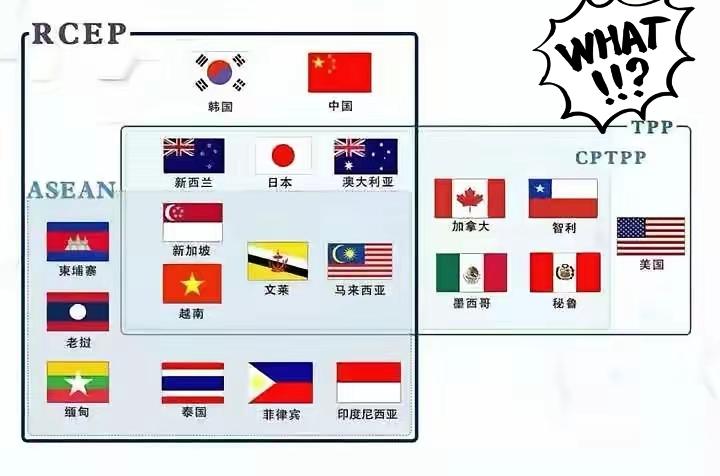 6月26日，CPTPP正式开启大规模扩容，一口气放行印尼、菲律宾、阿联酋三个国家