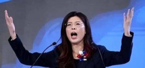 郑丽文在台北开腔，公开否认“一国两制”，不再兜圈子。这番话丢在岛内政坛，立马激起