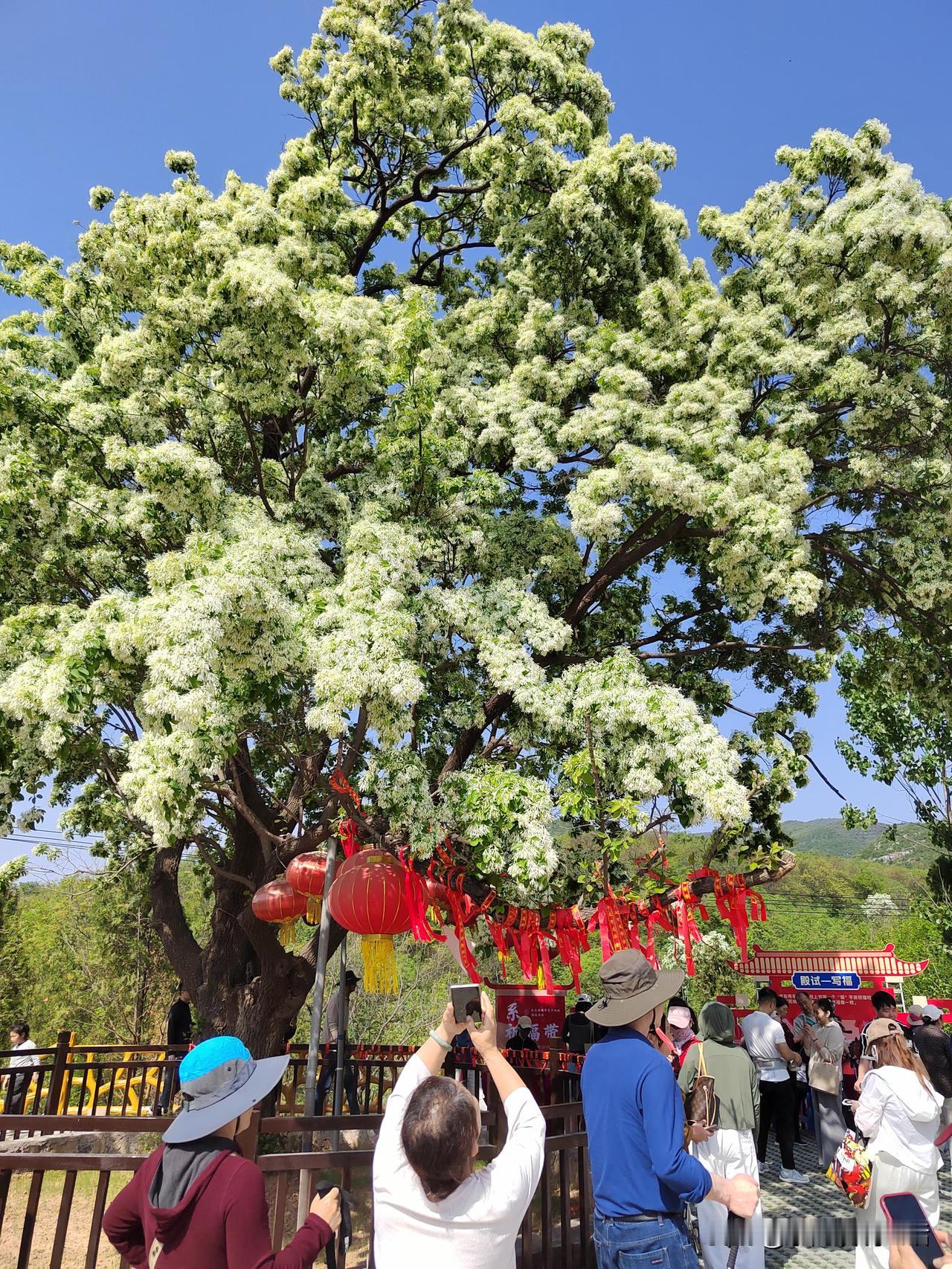 在我眼里，养老金2500左右就已经能过富贵生活了！不信，你就听我说！一是我能