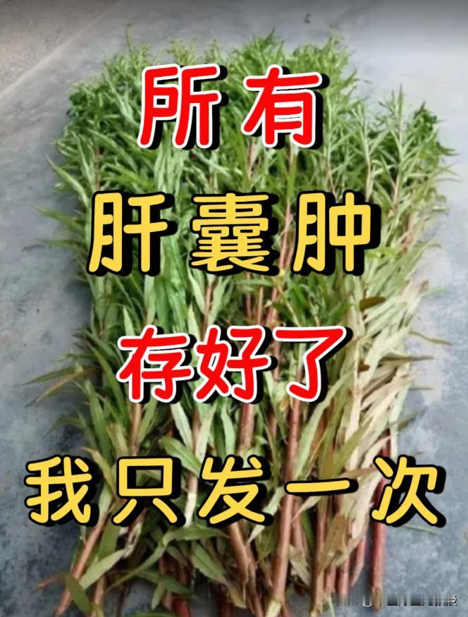 肝囊肿，其实是这里的问题很多人总盯着体检报告里的囊肿大小，反复穿刺抽液或用介