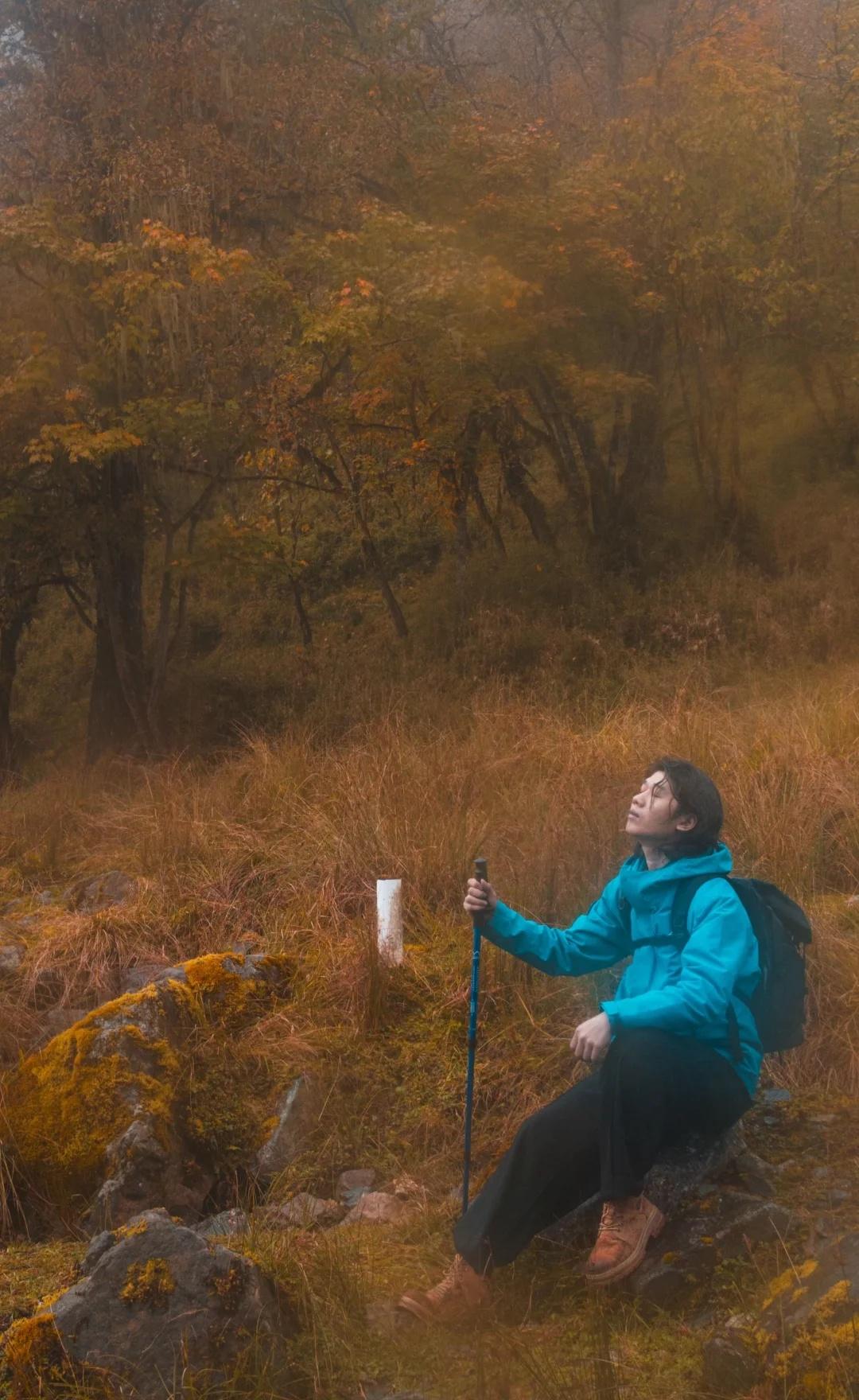 在成都周边,我想去无数次的秋日🍂森林秘这个秋天来四川吧去喇叭河秘境般的原始