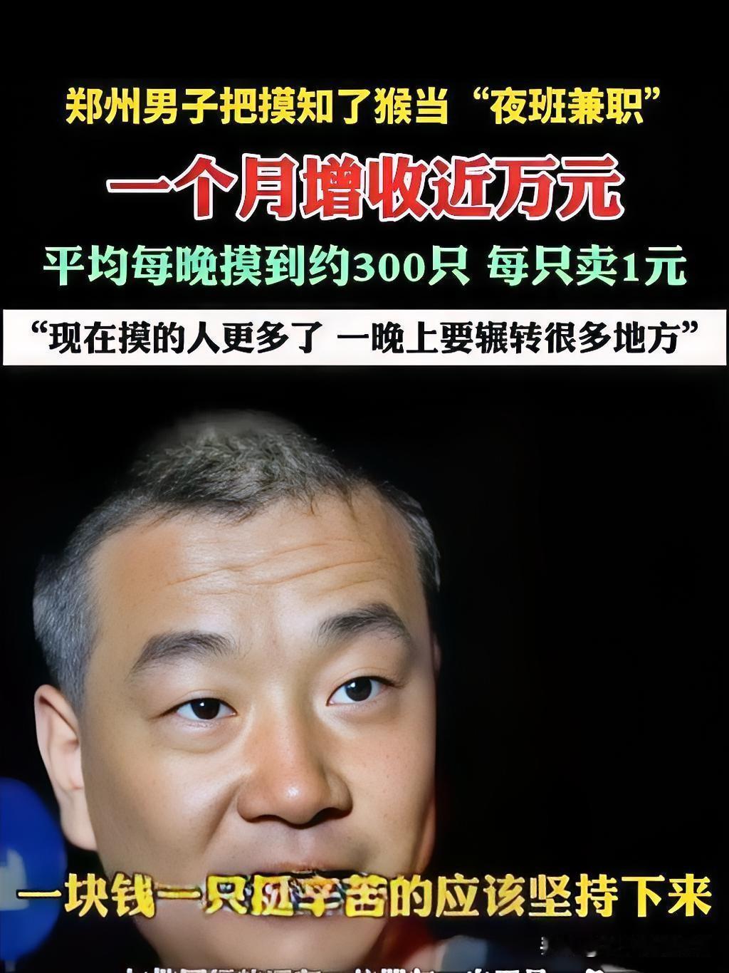 不少打工人把夏夜“摸知了猴”做成了热门兼职，郑州一位白天修电脑的师傅，每晚下班后