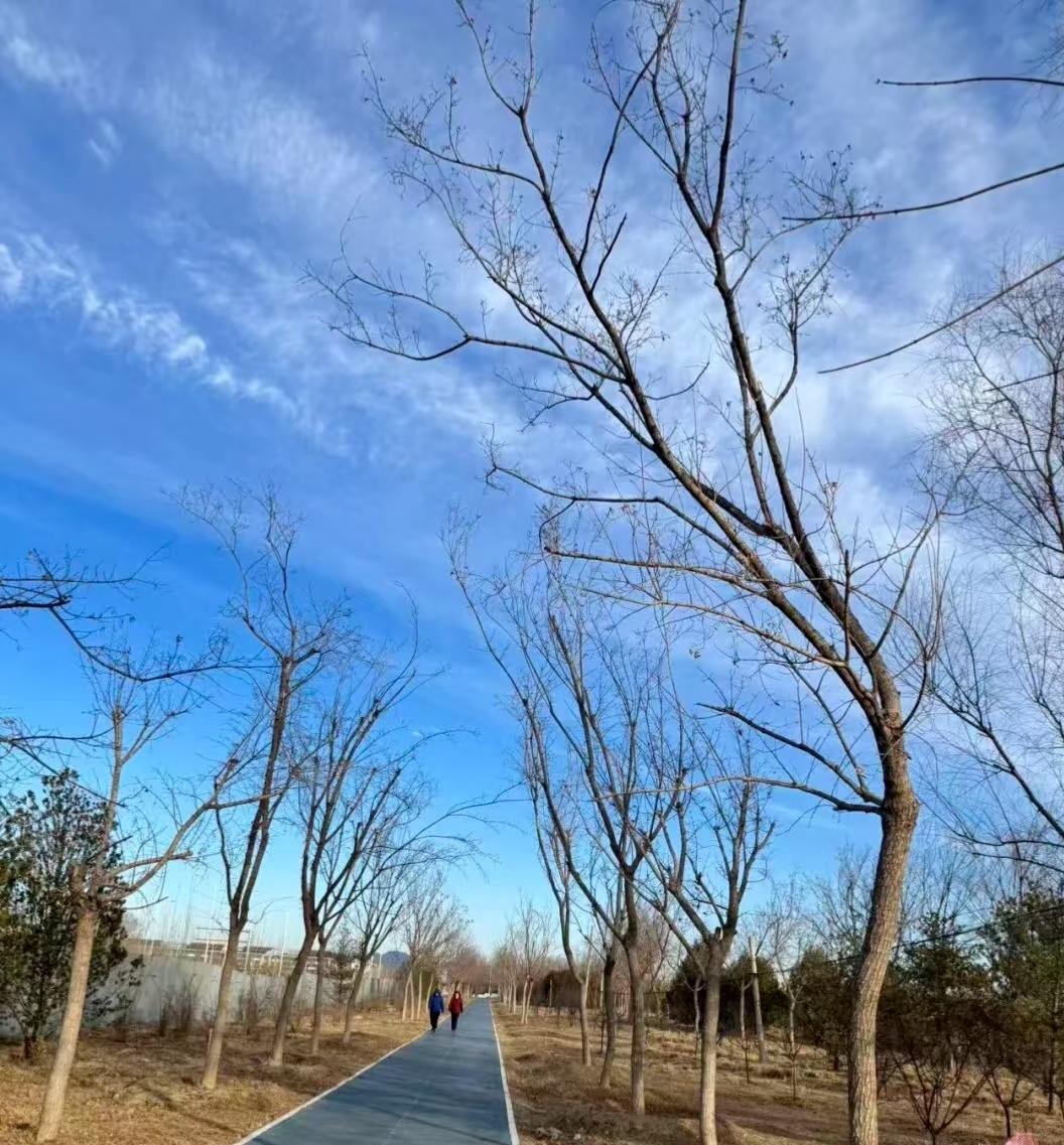 跑量不等于配速，把这个问题搞清楚后，就知道该跑多少了很多跑友