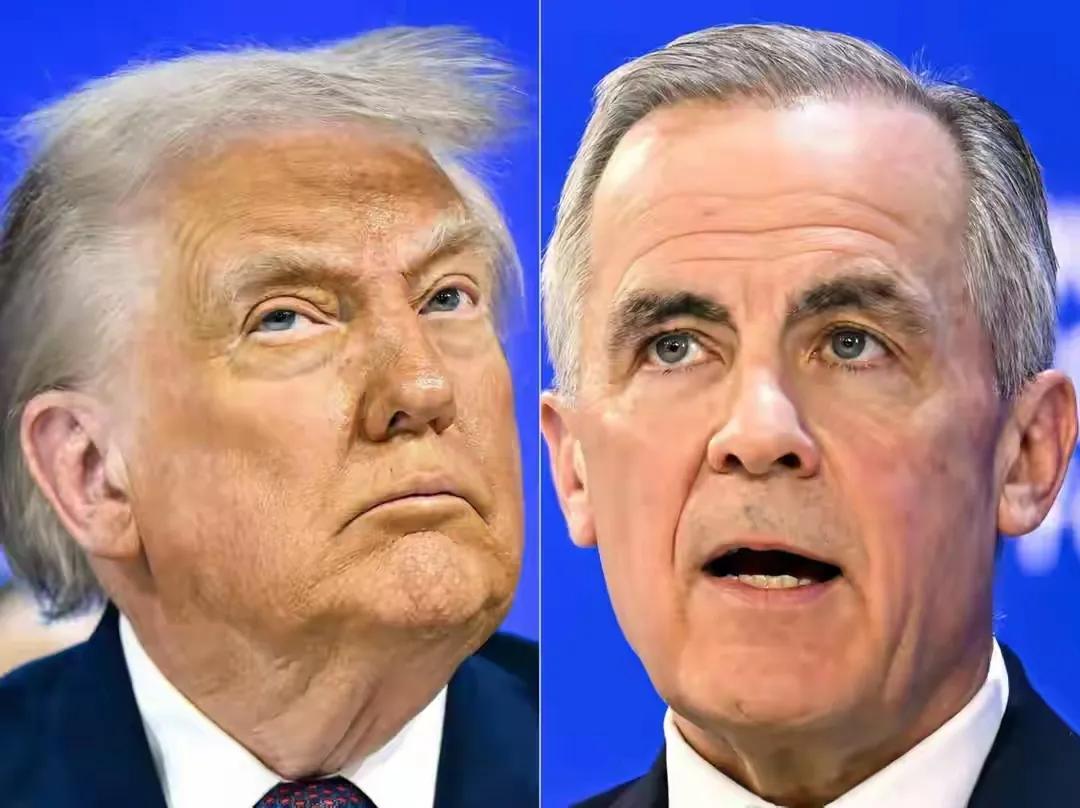 美国的淫威还在，大如加拿大这样的国家，特朗普一句100%关税和“毁灭性”打击的恐