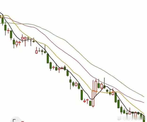 堪比股灾。一只历史上的低估值高分红绩优好股，哪怕经历过历史上最大的股灾由于其业绩