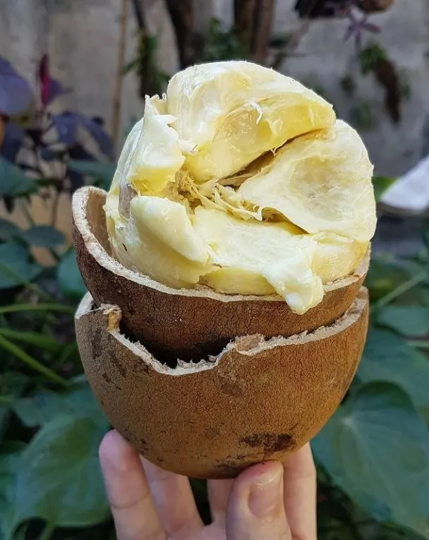 这种水果，到底哪个大冤种在吃啊？