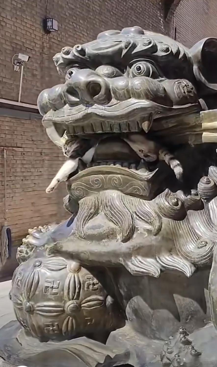 小猫真会找地方真搞不懂小猫的选址逻辑，舒服开阔的猫窝看都不看，专挑各种犄角旮旯安