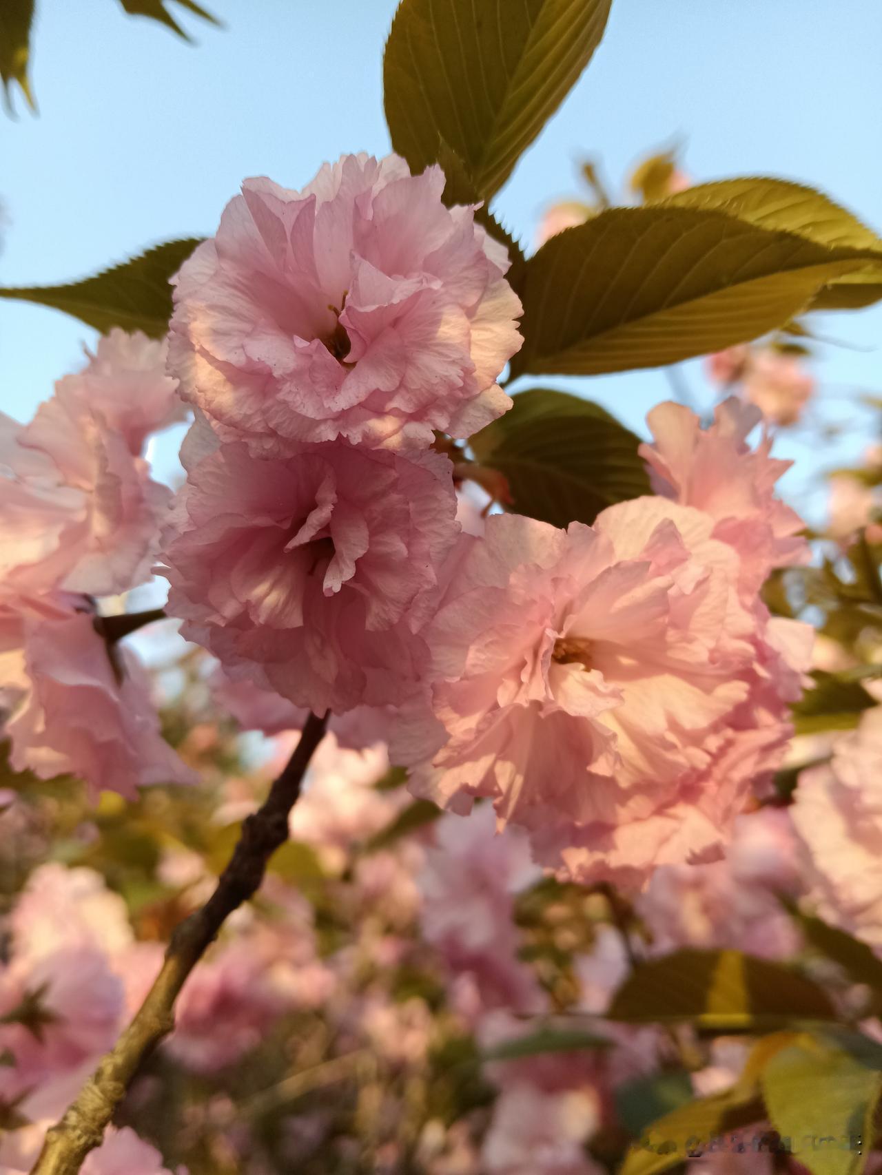 难以解释的玄学规律，务必牢记1.晚上，切勿在十字路口等人。2.常穿红色内衣，