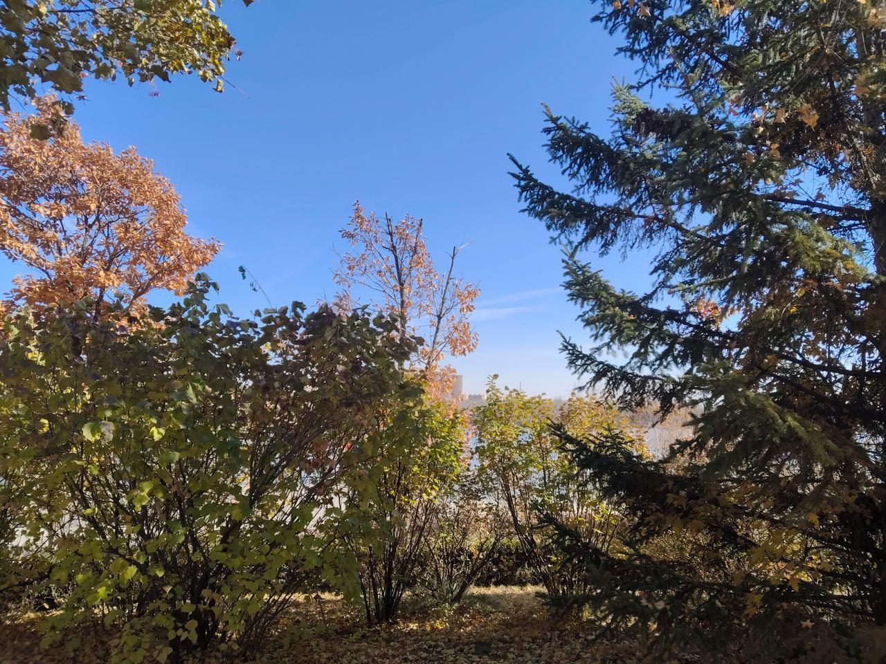 课后延时服务方便了部分家长，要想全员受益得采取得当措施！课后延时服务，历来都