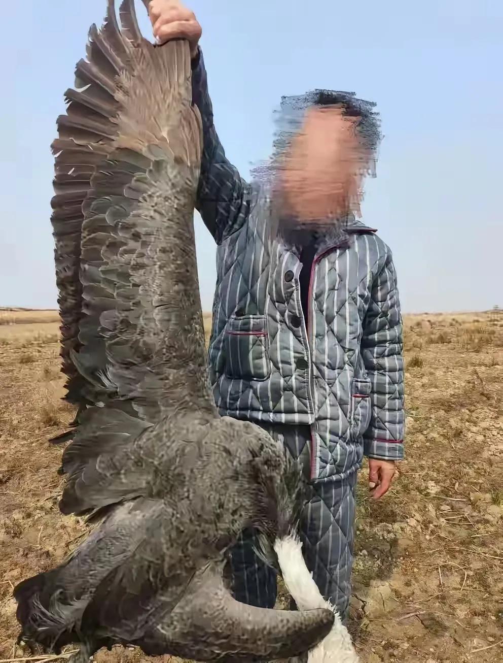 5人毒杀候鸟！刷到江西鄱阳湖湿地里，5个丧心病狂的嫌疑人居然用剧毒农药“呋喃