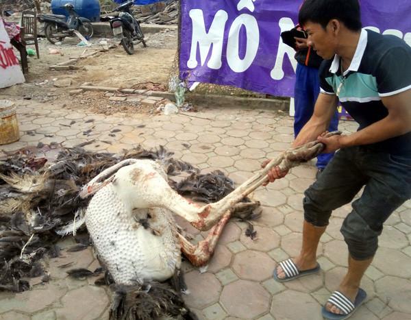 夫妇开档卖鸵鸟肉, 生意火爆引大量富人前往光顾