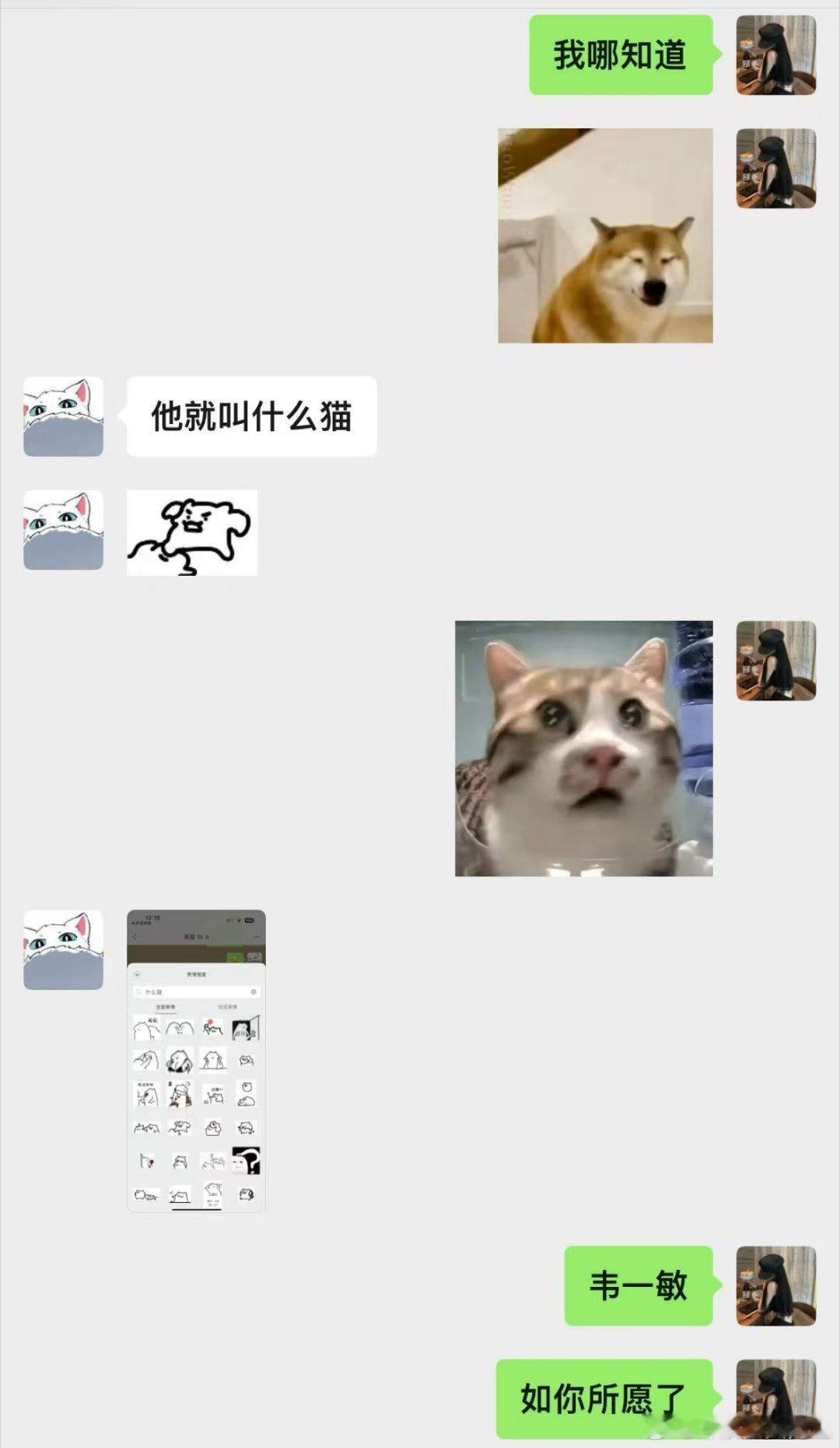 论标点符号的重要性[doge]