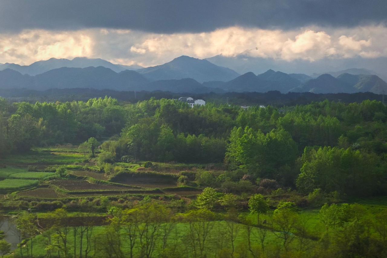 今天和南京的一位高三学生的家长聊了聊天。高三的最后阶段，孩子压力很大，因此我建议