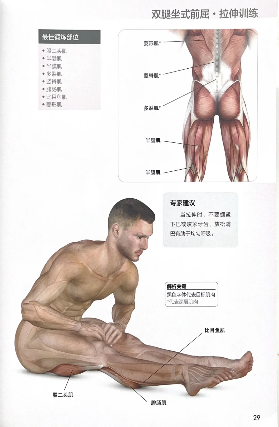 大腿后侧拉伸的正确方法🔥