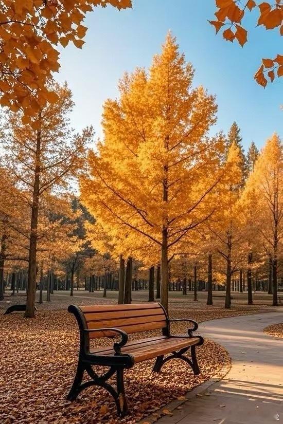 令人彻底清醒的一段话：“人活到最后，最需要的东西，不是子女，也不是老伴，更不是房