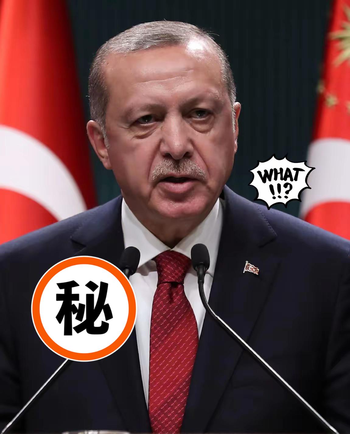 快讯！快讯！土耳其传来消息11月12日，土耳其国防部正式确认，11日在格鲁吉