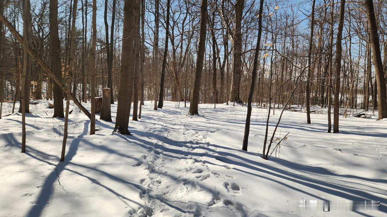 可以分享一张你相册里最美的风景吗