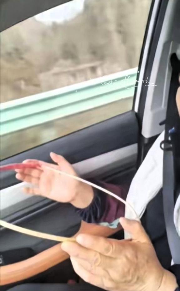 “人怎么能这么聪明！”浙江，一男子的母亲晕车严重，为了让母亲舒服，男子找了一个树