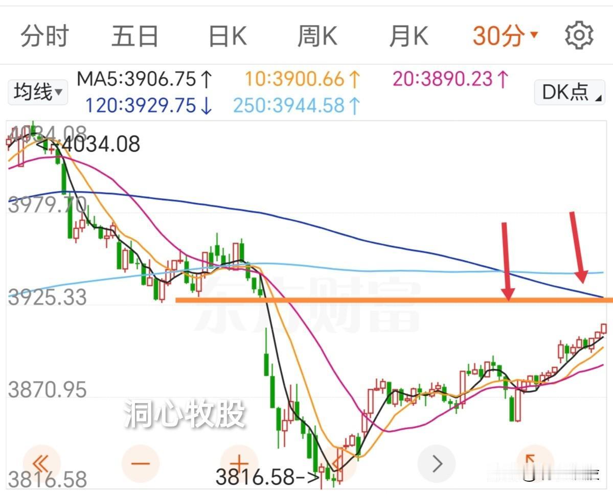 今天震荡向上，又反弹了一天，三大指数放量收阳，3000多只个股上涨，看起来还不错