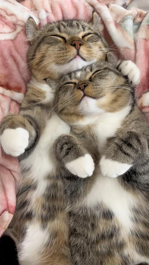 我问医院上班的朋友，什么是生理性喜欢，什么是心理性喜欢？我朋友放下手里的