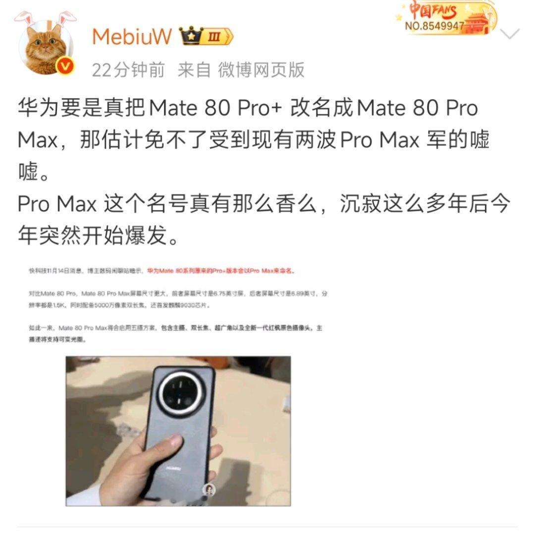 菊厂不会这么做的，Mate系列的影响力已经超越苹果了。