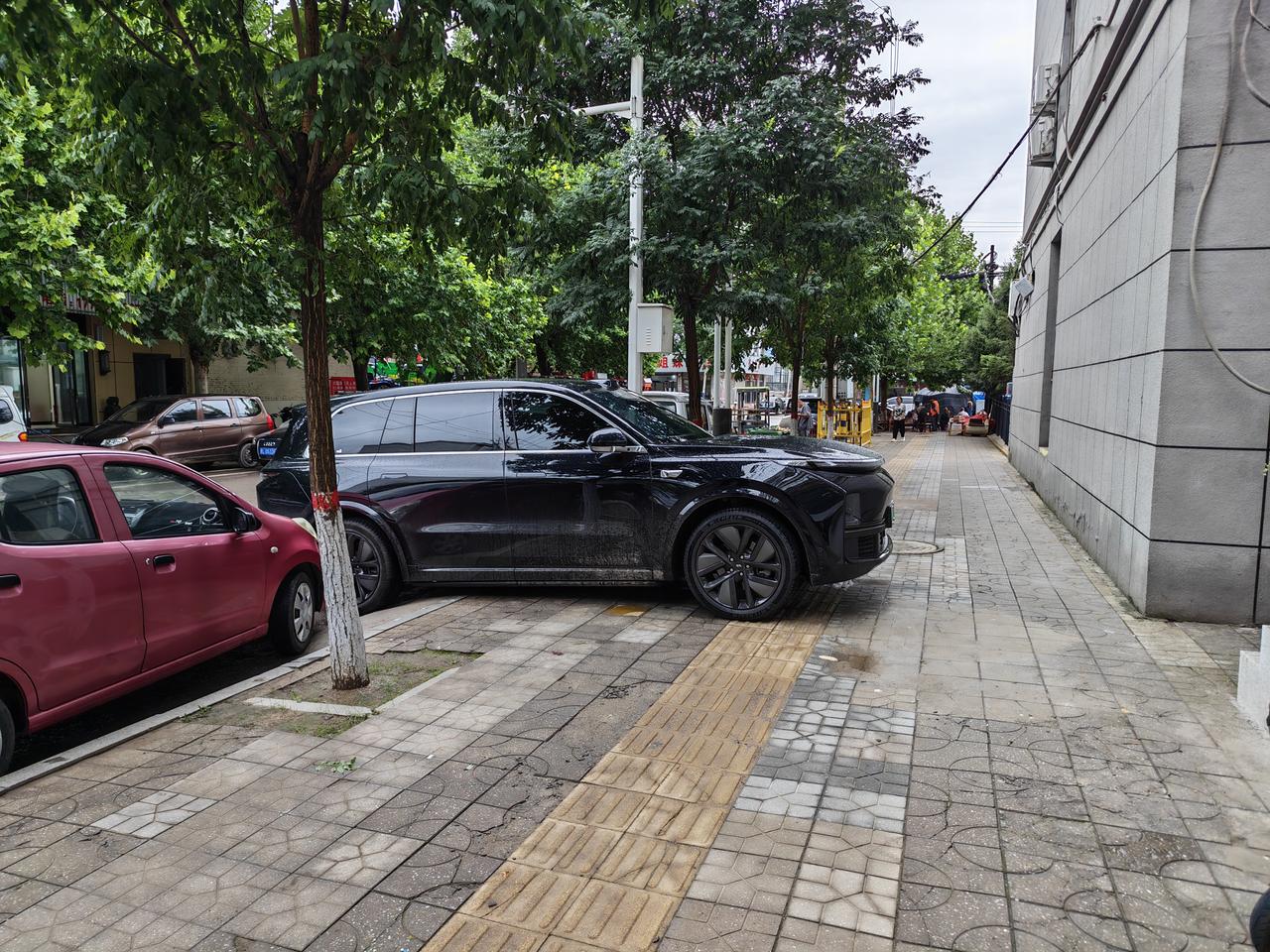 虽然我也是理想的车主，但是这种想怎么停就怎么停的停法，我真的有点无力吐槽。。。究